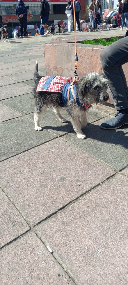 Awesome Product Image