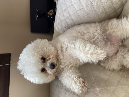 Awesome Product Image