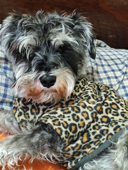 Awesome Product Image