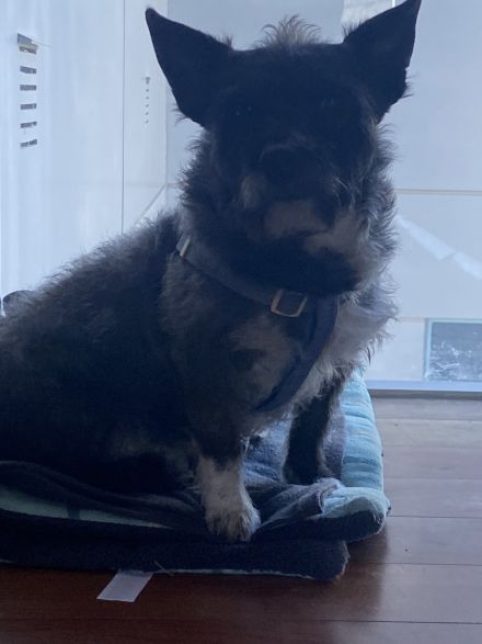 Awesome Product Image