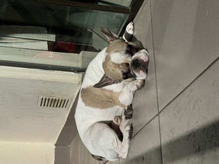 Awesome Product Image