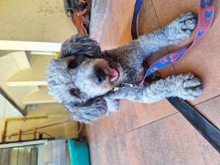 Awesome Product Image