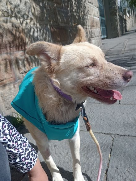 Awesome Product Image