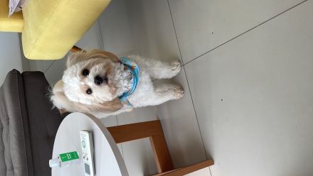 Awesome Product Image