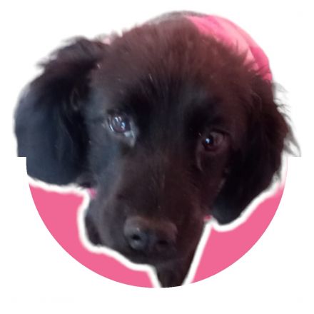 Awesome Product Image