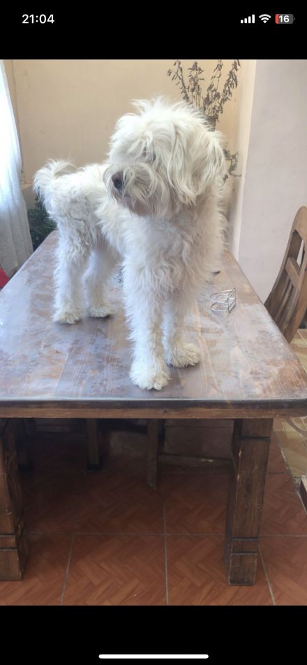 Awesome Product Image