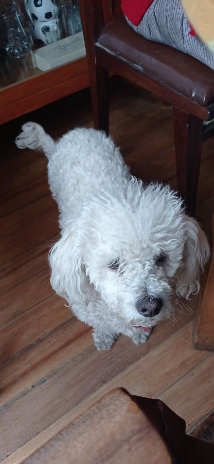 Awesome Product Image