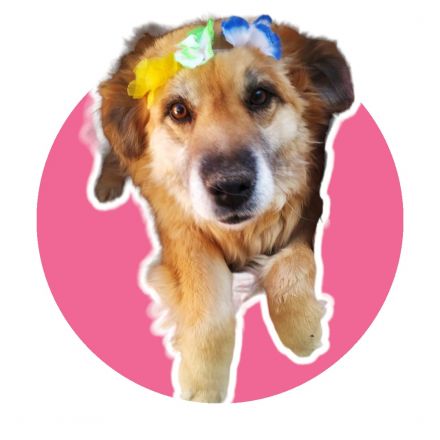 Awesome Product Image