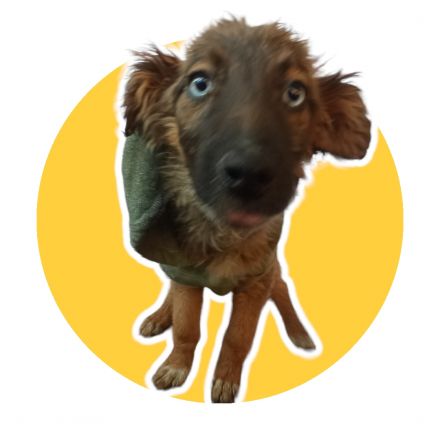 Awesome Product Image