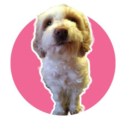 Awesome Product Image