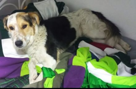 Awesome Product Image