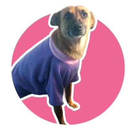 Awesome Product Image