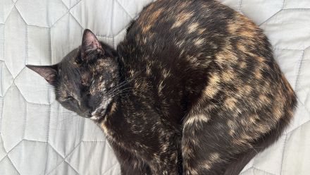 Awesome Product Image