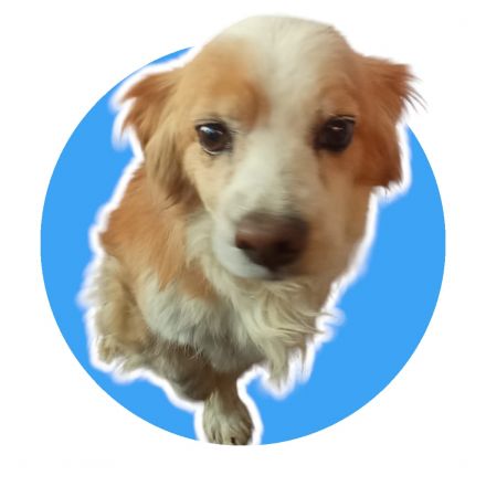 Awesome Product Image