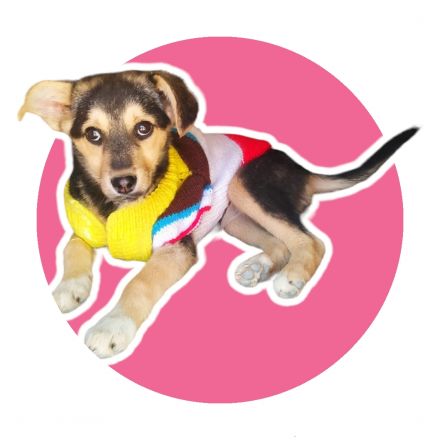 Awesome Product Image