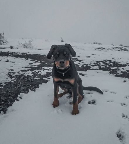 Awesome Product Image