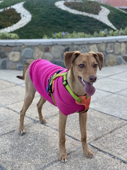 Awesome Product Image