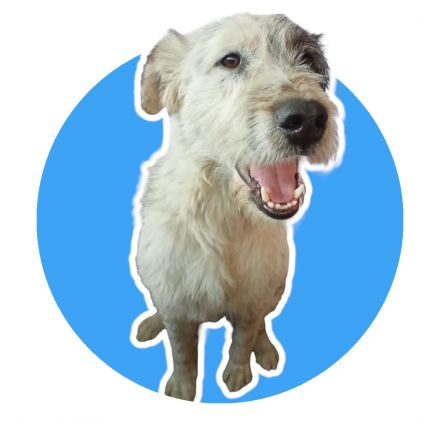 Awesome Product Image