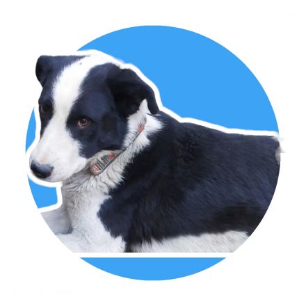 Awesome Product Image