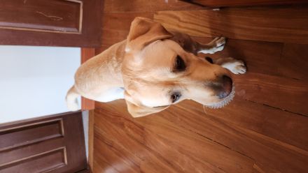 Awesome Product Image