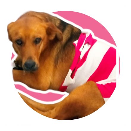 Awesome Product Image