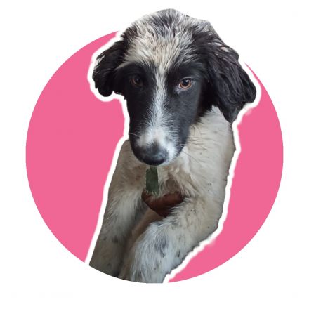 Awesome Product Image