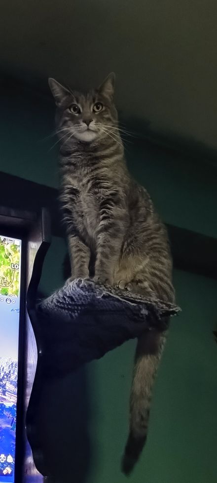 Awesome Product Image