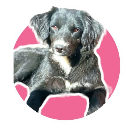 Awesome Product Image