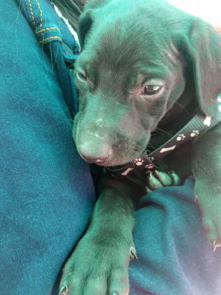 Awesome Product Image