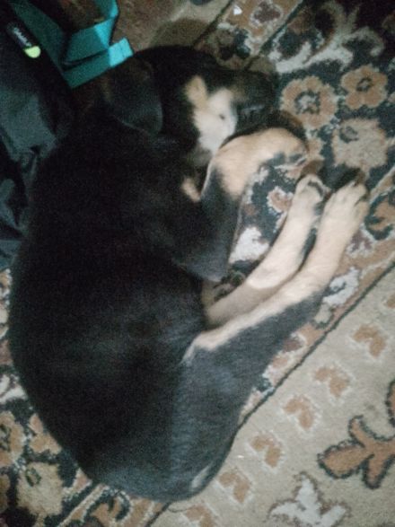 Awesome Product Image