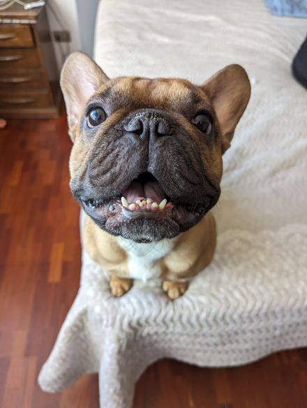 Awesome Product Image