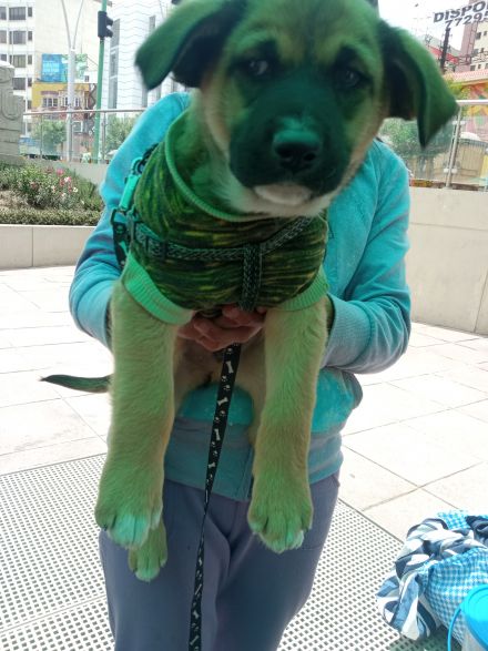 Awesome Product Image