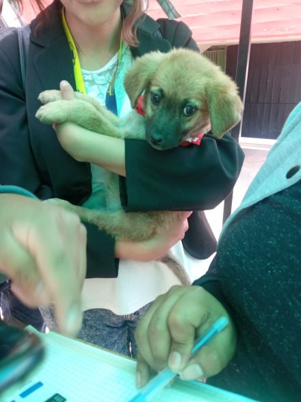 Awesome Product Image