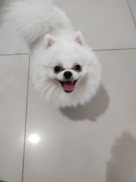 Awesome Product Image