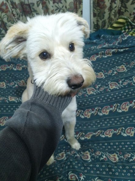 Awesome Product Image