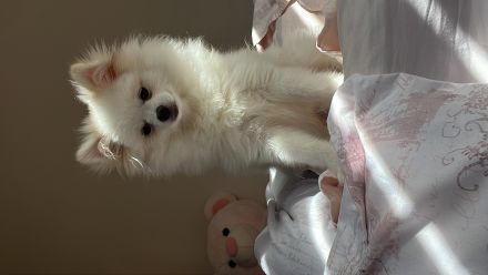 Awesome Product Image