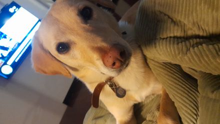 Awesome Product Image