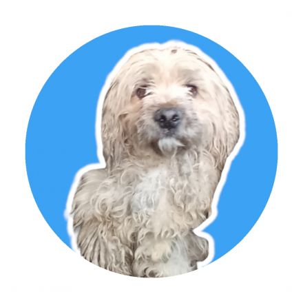 Awesome Product Image