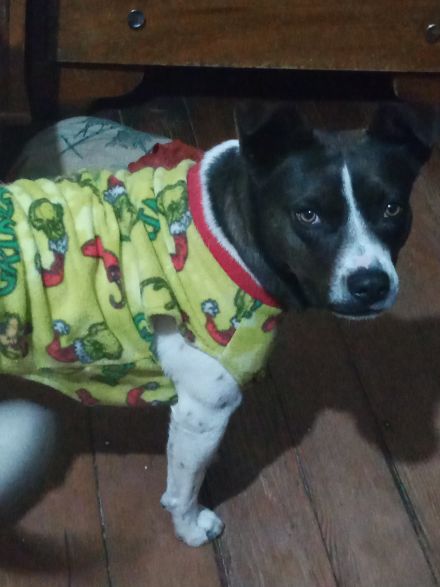 Awesome Product Image