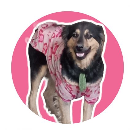 Awesome Product Image