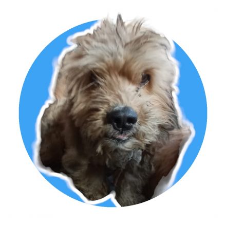 Awesome Product Image