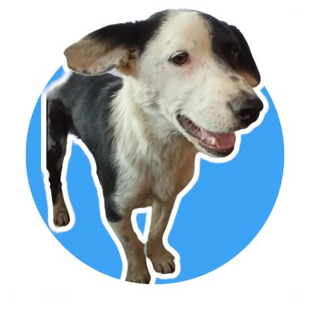 Awesome Product Image