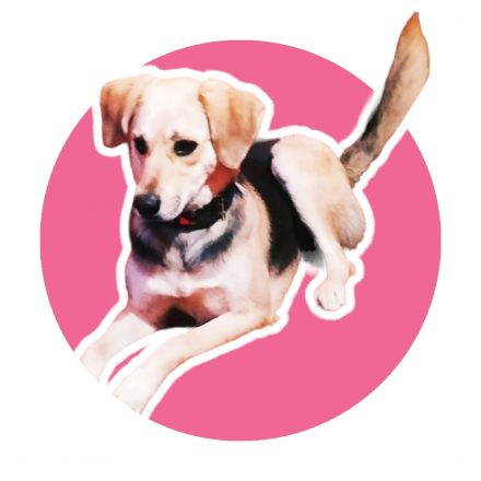 Awesome Product Image