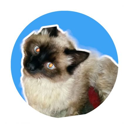 Awesome Product Image