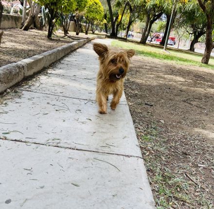 Awesome Product Image