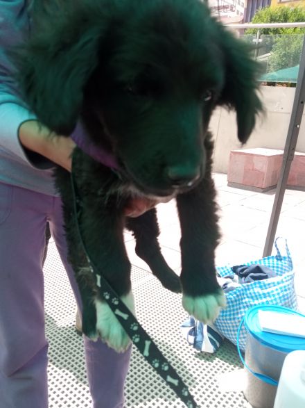 Awesome Product Image