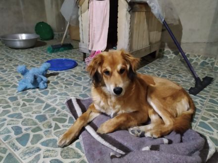 Awesome Product Image