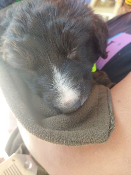 Awesome Product Image