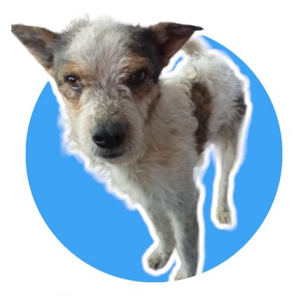 Awesome Product Image