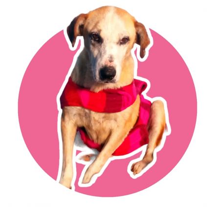 Awesome Product Image